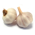 Best selling product in europe garlic in chilli oil with competitive price